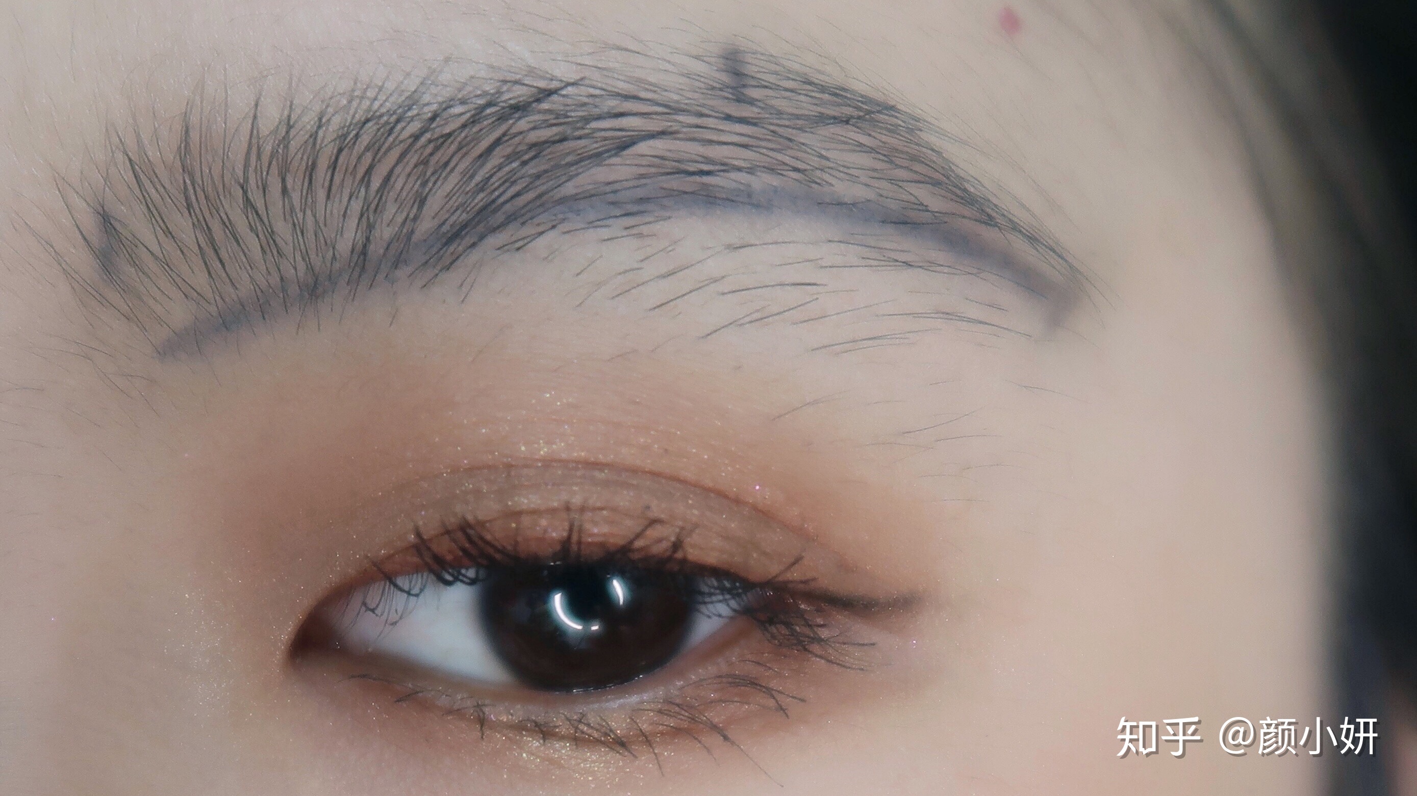 福建省19部门联合发文 进一步加大力度支持AEO企业高质量发展