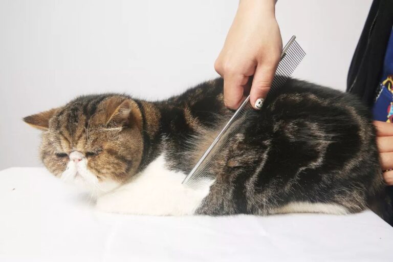 为民营经济筑牢法治防护堤