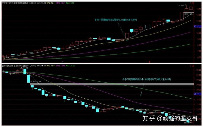 浙江实施市场监管领域轻违免罚轻罚创造更优市场环境