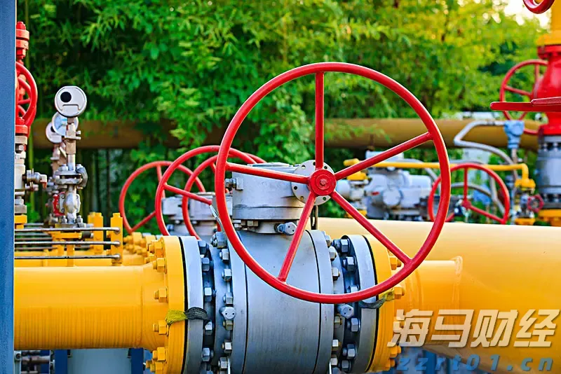 医我看丨基孔肯雅热康复期怎么吃？多抗炎、补蛋白，营养均衡最关键