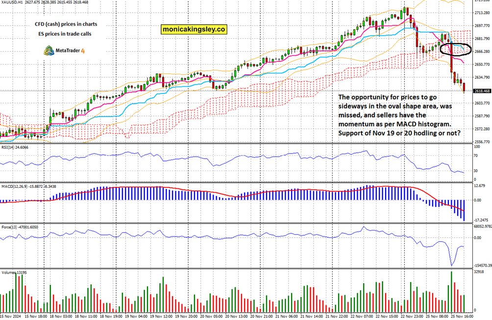 关税休战与盈利前景提升，印度散户创纪录490亿卢比支撑市场
